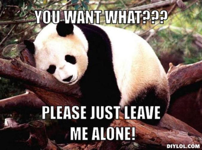 resized_procrastination-panda-meme-generator-you-want-what-please-just-leave-me-alone-5576d1